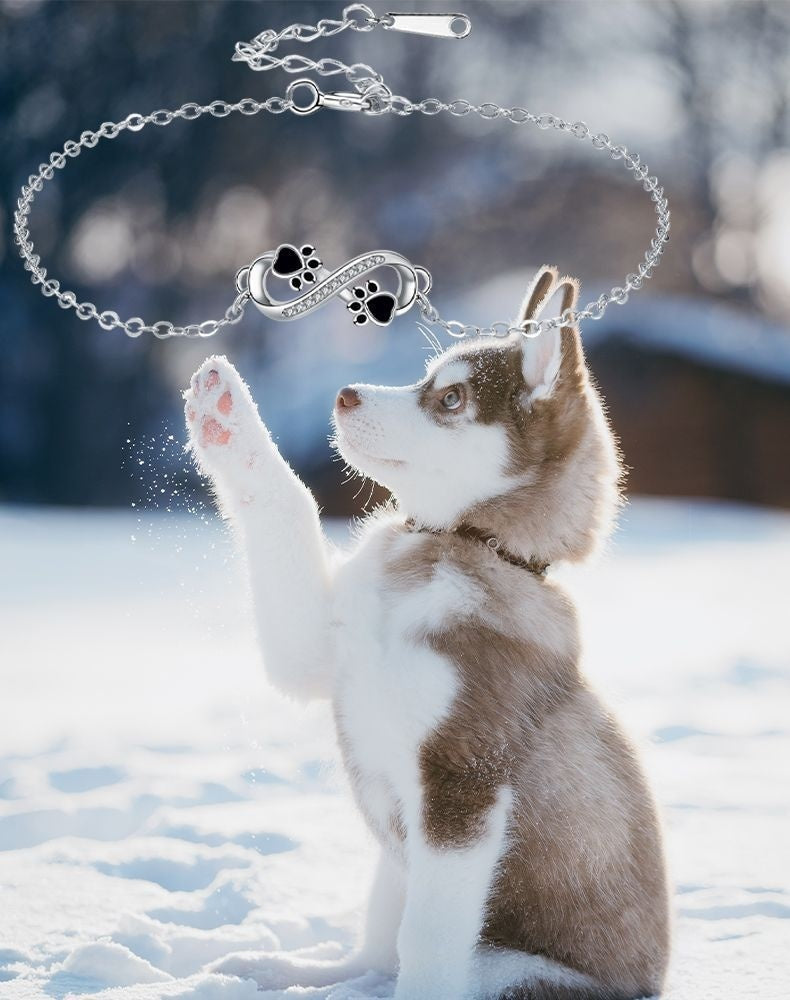 Pulsera de Patas de Mascota con Colgante de Símbolo Infinito y Zirconia