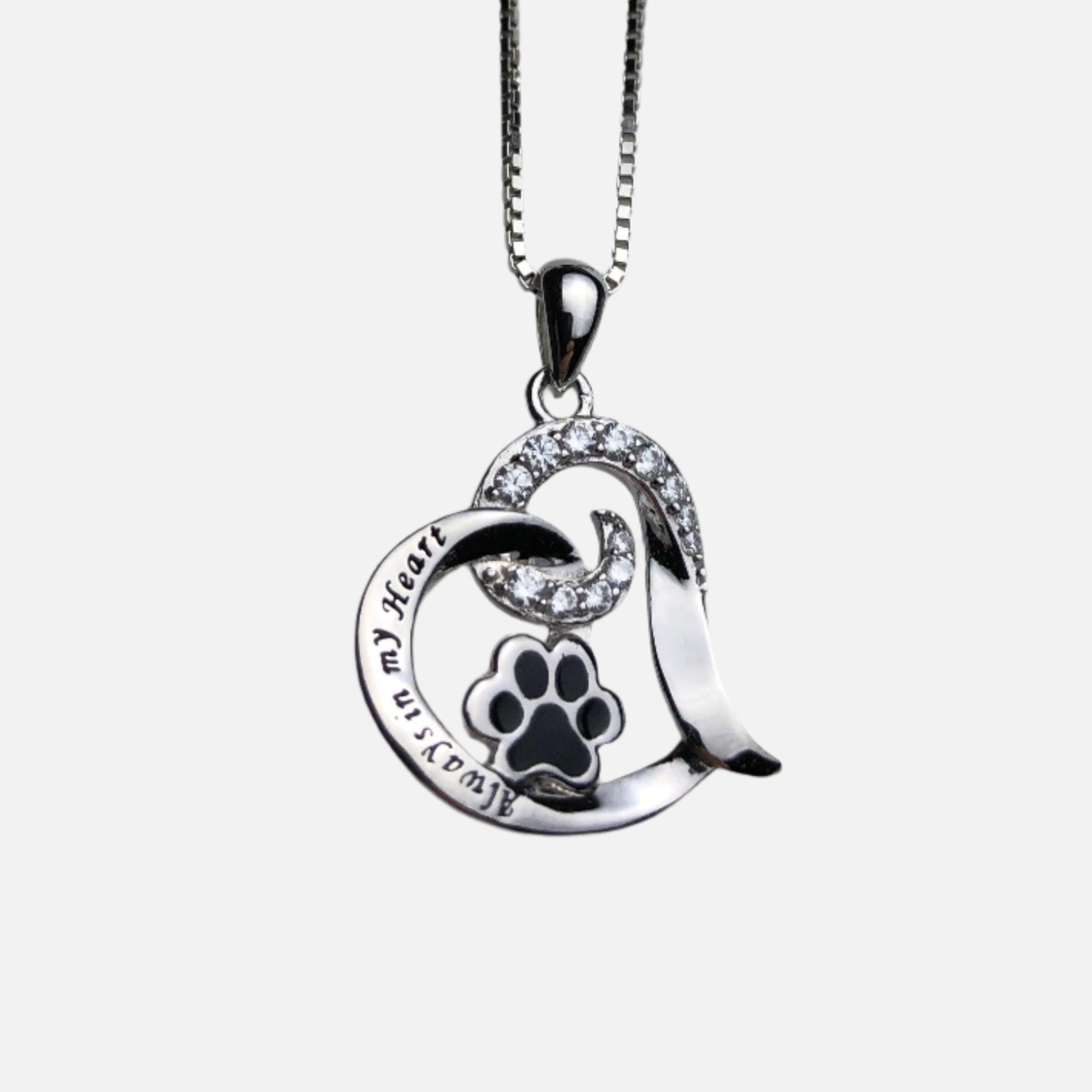 Collar Memorial Elegante para Perros – Acero Inoxidable