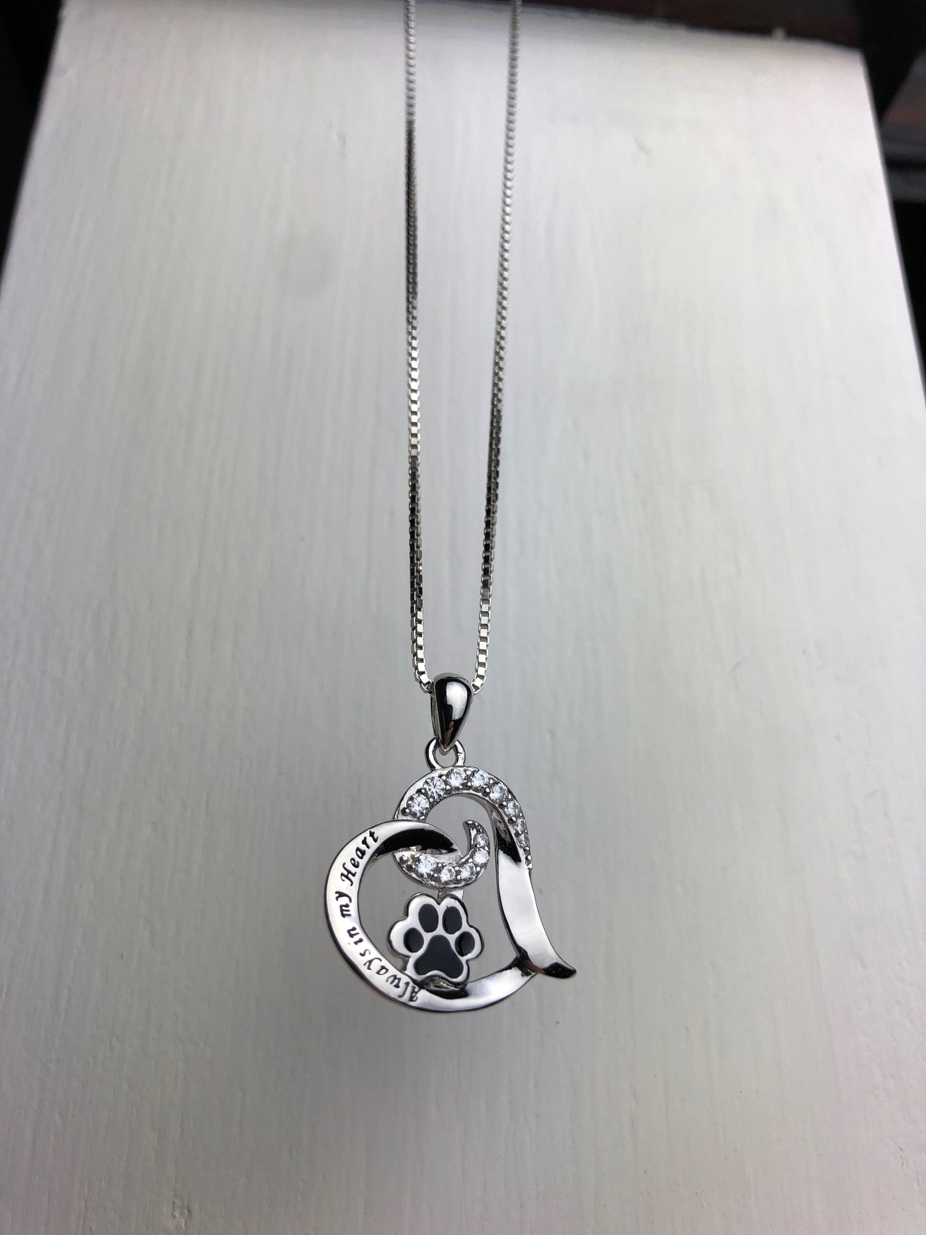 Collar Memorial Elegante para Perros – Acero Inoxidable