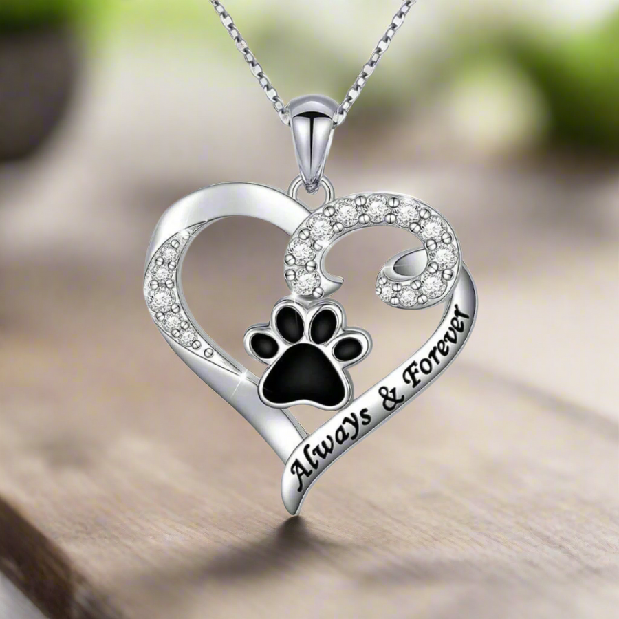 Collar de Huella de Perro – Diseño de Corazón en Acero Inoxidable con Circonitas
