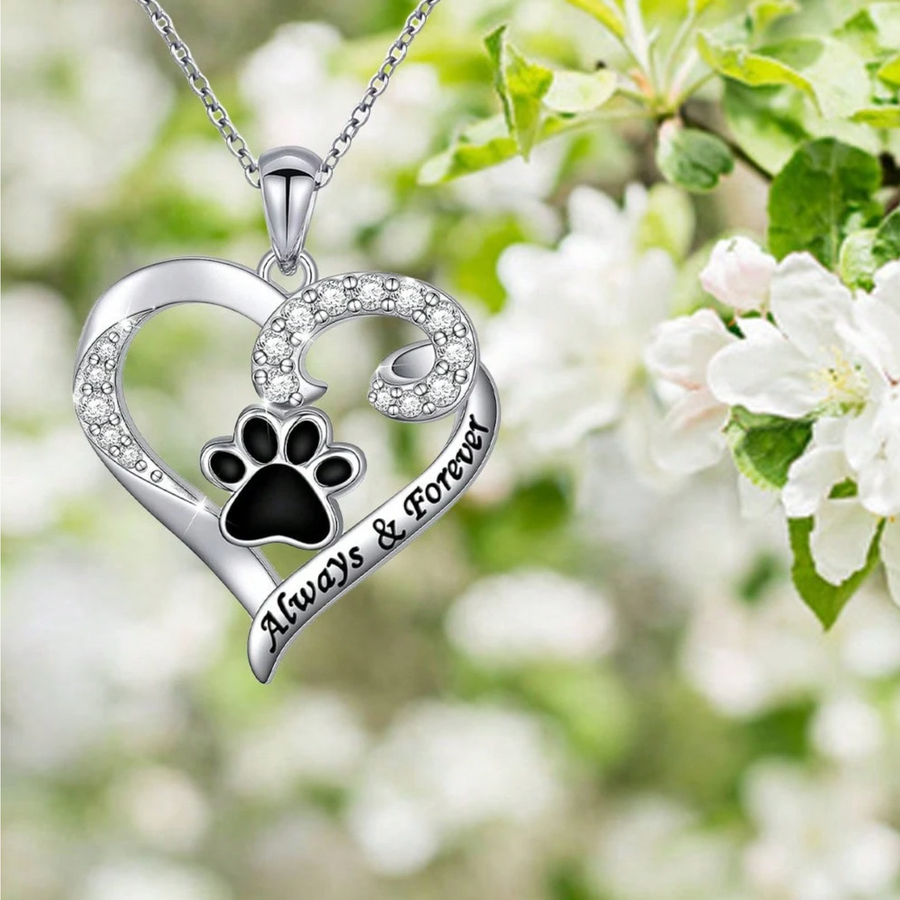 Collar de Huella de Perro – Diseño de Corazón en Acero Inoxidable con Circonitas