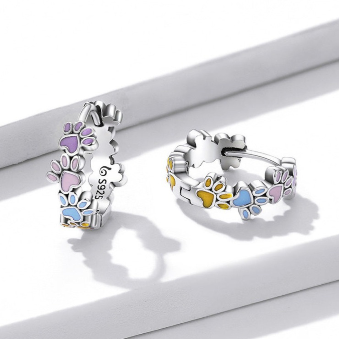 Aros de Patas Coloridas en Plata de Ley