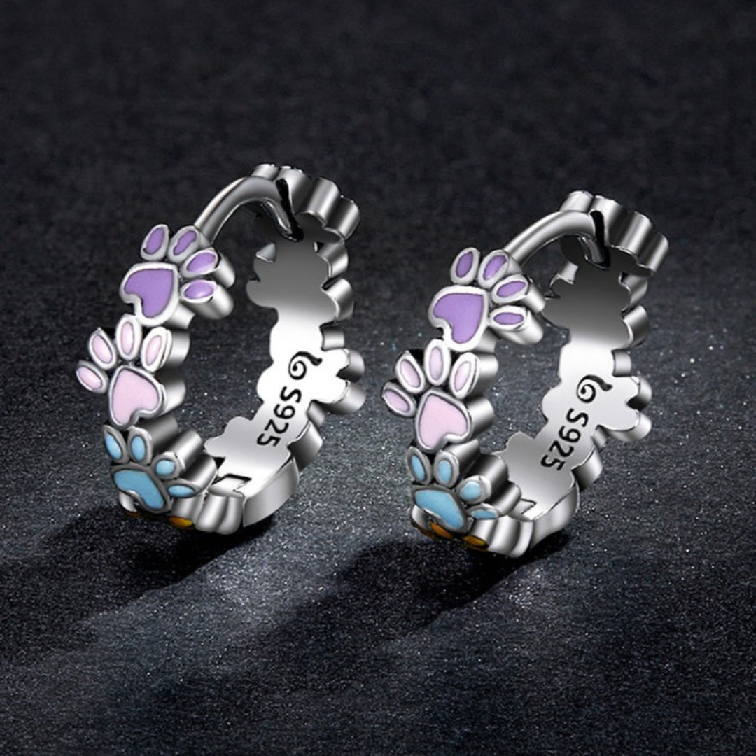 Aros de Patas Coloridas en Plata de Ley